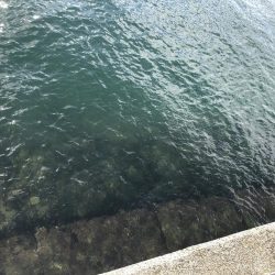 台風一過後のデイエギング