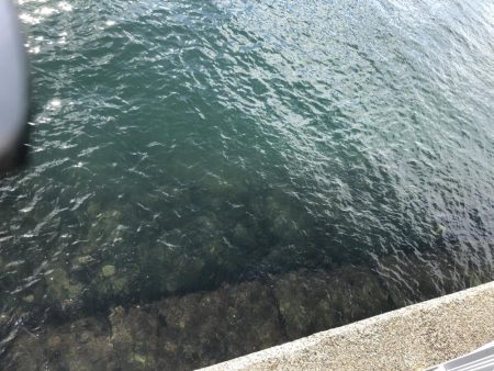 台風一過後のデイエギング