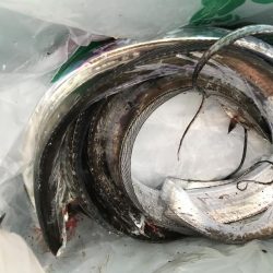 リベンジとは。