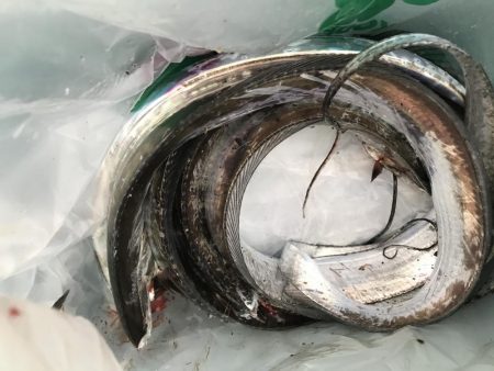 リベンジとは。