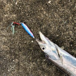 小潮なのに活性高っ!!