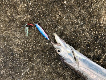 小潮なのに活性高っ!!