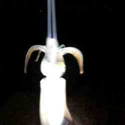 ショアジギング