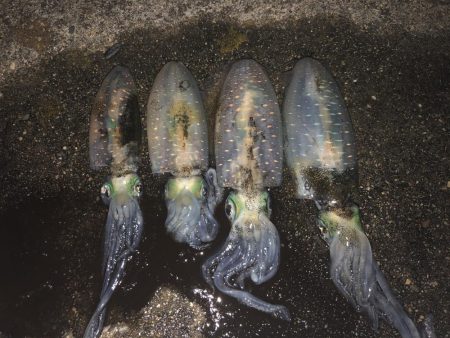 久しぶりに四杯