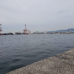 今年初、初、初!!!