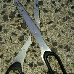 先行者のヤエン師匠