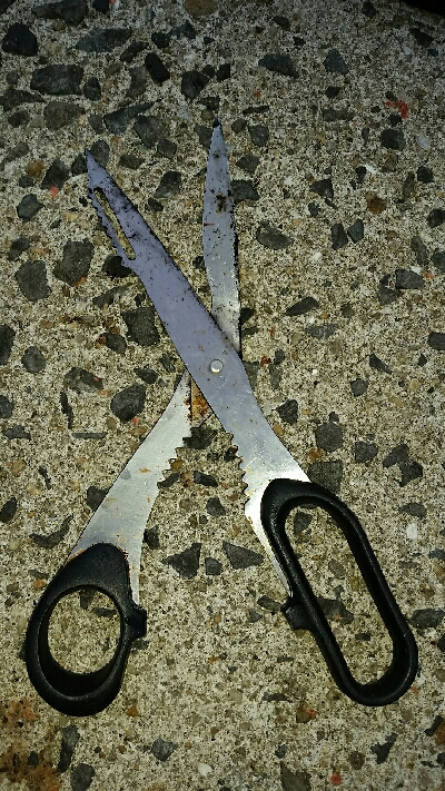 先行者のヤエン師匠