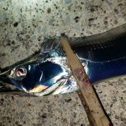 悪くないけれど