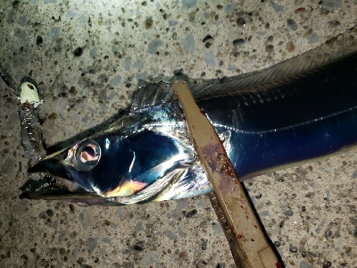 悪くないけれど