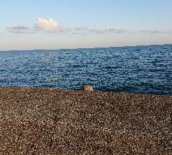 まあまあな結果