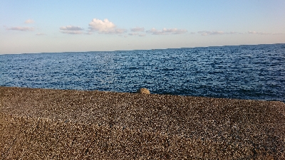 まあまあな結果