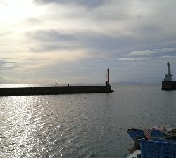 アジング狙いでしたが