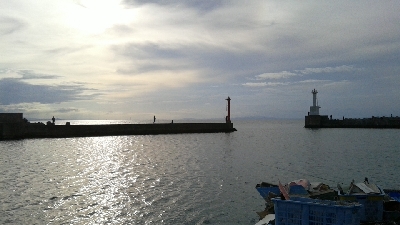 アジング狙いでしたが