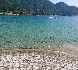 良型メッキ爆釣中