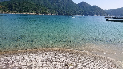 良型メッキ爆釣中