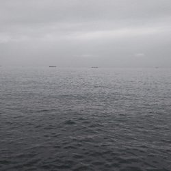 台風後は、、、