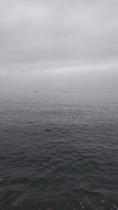 台風後は、、、