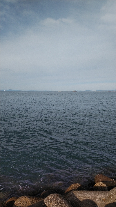 ハマチ好調！タチウオ何処行った？