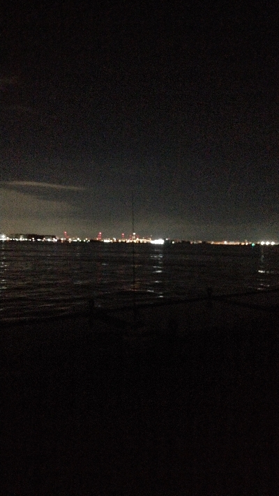 ハマチは好調だかタチウオは…