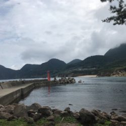 今年初エギング