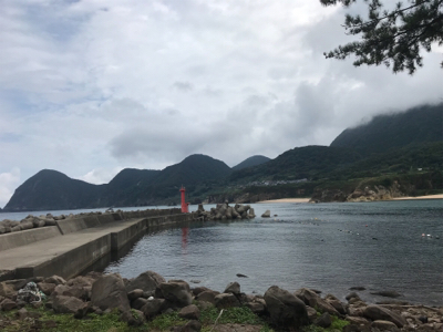 今年初エギング