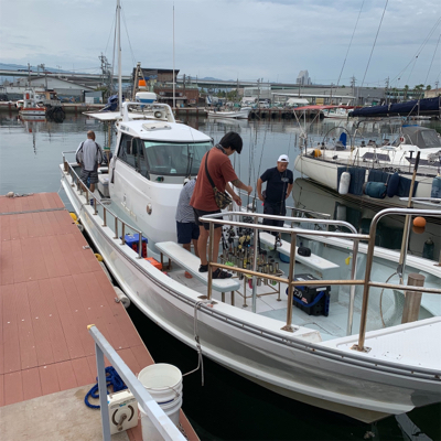 タチパターン オーシャンスター