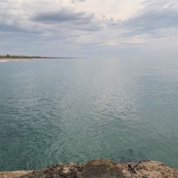 ワンピッチでヒラメ