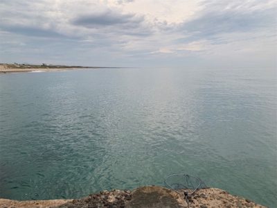 ワンピッチでヒラメ