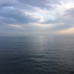 タチウオ不発ハマチ高活性