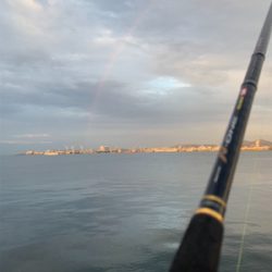 渋くなったけど、一応キャッチ!