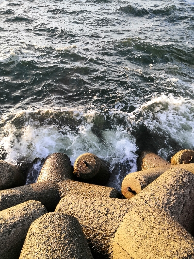 ワインドで鱧2匹め