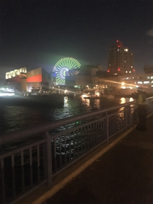 天保山 ウキ太刀魚のつもりが…