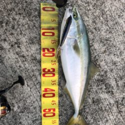 昨日のリベンジ