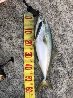 昨日のリベンジ