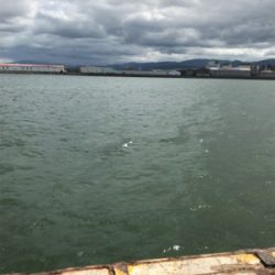 釣れる迄帰れません!