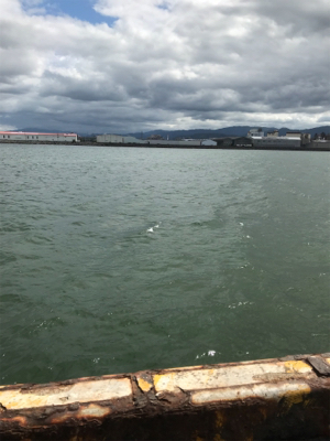 釣れる迄帰れません!