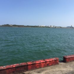 宮崎港でチヌ釣り