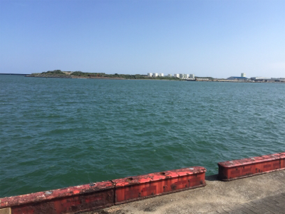 宮崎港でチヌ釣り