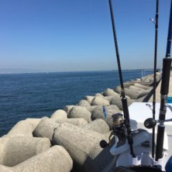 タチウオアンドハマチ