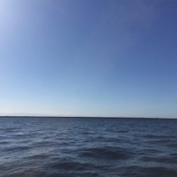 いまいち伸びない