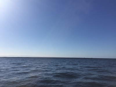 いまいち伸びない