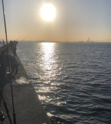 台風前の荒食い狙って…リベンジ編