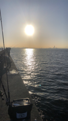 台風前の荒食い狙って…リベンジ編