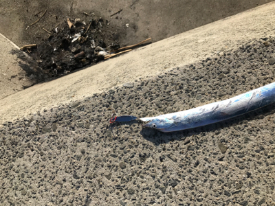 デカ太刀魚かと思いきや…。