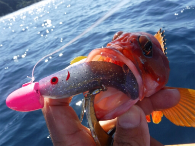 カヤックフィッシング