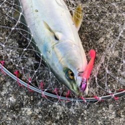 台風後は調子良かったです