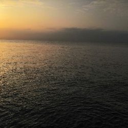 ハマチと太刀魚