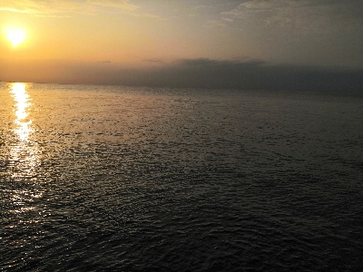 ハマチと太刀魚