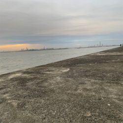 台風明けの太刀魚釣行