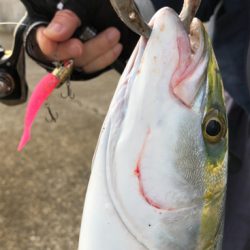 濁りがキツイ中　なんとか1本